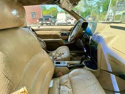 Image result for Dandelion Yellow 1993 Chrysler