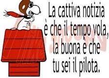 Buon Compleanno Citazioni Divertenti Frasi Positive Citazioni Scherzose
