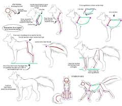 How To Drw Wolves Part 3 Body By Kimai Deviantart Com Wolf Drawing Canine Drawing Animal Drawings