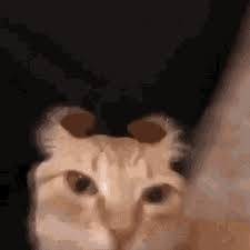 Stream Cmon Boys Wont You Shake A Poor Sinners Hand by raccoon me |  Listen online for free on SoundCloud