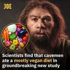 Carnivore Diet For Beginners