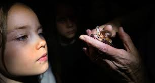 Mission Garden acequia: Water canal represents history, what may come next