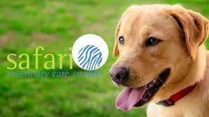 Vets now provide emergency and critical care for your pet you need it most. Calameo Emergency Vet Hospital In Houston Tx