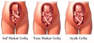 op dr banu ciftci