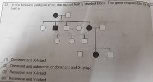 In The Following Pedigree Chart The Mutant Trait Is Shaded