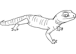 When it gets too hot to play outside, these summer printables of beaches, fish, flowers, and more will keep kids entertained. Normal Gecko Coloring Page Free Printable Coloring Pages For Kids