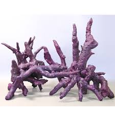 If all the results of coral rock for sale are not working with me, what should i do? Tropic Eden Supreme Tonga Branch Rock Sold Per Lb Dry Premium Aquatics