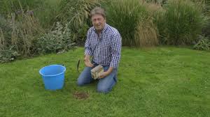 Lawn care made easy in allen. Seven Lawn Care Tips Lawn Maintenance Bbc Gardeners World Magazine