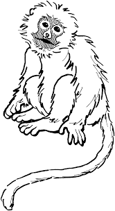 Coloring Pages For Kids Free Printable Free Printable Monkey Coloring Pages For Kids Coloringp Monkey Coloring Pages Animal Coloring Pages Spiderman Coloring