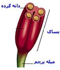 متن جایگزین