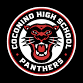 Coconino Panthers vs Page Sand Devils event in Flagstaff, AZ