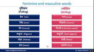 Except for mano, most of them are abbreviations of compound nouns. Learn Hindi Grammar Gender Feminine Masculine In English Youtube