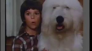 Oh, God! Book II | IMDb