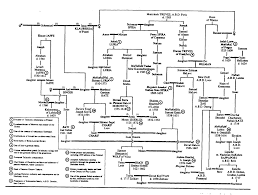 61 problem solving complete bible genealogy chart