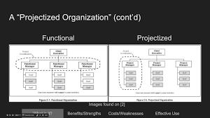 Projectized Organization Youtube