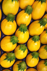 Le Jaune A Rungis La Courgette Ronde De Nice Jaune Fruit Photography Fruit Garden Fruit And Veg