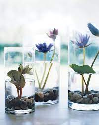 สว สด เพ อนๆ ihome108 เพ อนคนไหนค ดอยากได อยากเล ยงปลาในอ างบ ว หร อม อ างบ วสวยในบ าน ว นน เราของนำเสนอ 27 ไอเด indoor water garden plants indoor plants