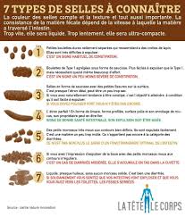 7 Types De Selles A Connaitre Gluten Free Gluten