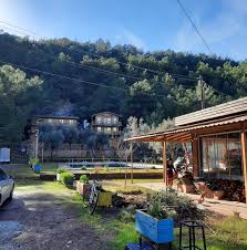 Aşağıdaki adresi kullanarak mail ile sorularınızı sorabilir. Ali S Resort Hotel Posts Facebook