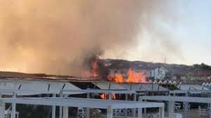 Cronosquadre della versilia michele bartoli organization forte dei marmi. Forte Dei Marmi Maxi Incendio Al Bagno Gilda Divorata Gran Parte Dello Stabilimento Balneare Corrierefiorentino It