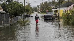North carolina's wild horse herd has weathered florence's fury. They Were Stranded By Florence Then The Cajun Navy Arrived Wral Com