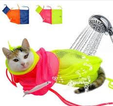 The burmese cat is often described as active and social, enjoying the company of others. Nail Trimming Washing Bath Mesh Cat Bag Pet Grooming Sale Price Reviews Gearbest Cat Grooming Cat Care Pet Cat Toys