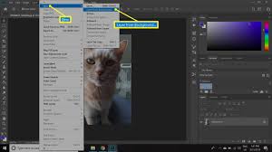 This basic photoshop cc/cs6 tutorial will show you how to dele. How To Cut Out An Image In Photoshop Cc 2020