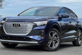 Image result for Navarra Blue 2023 Q4