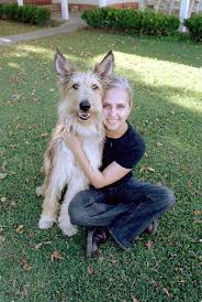 Pictures Photos From Because Of Winn Dixie 2005 Cute Dogs Ancient Dogs Dogs And Puppies