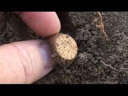 You will find that most of the places to go and look are the older. Best Places To Go Metal Detecting For Beginners Discover Detecting
