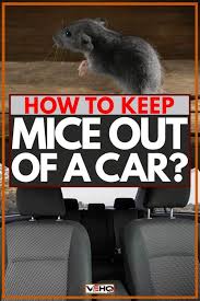 How do you keep rats out of your car engine? How To Keep Mice Out Of A Car