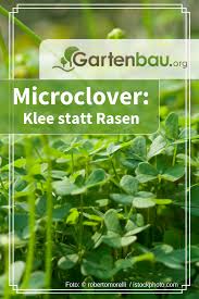 Microclover Klee Statt Rasen Fur Ihren Garten Sie Wunschen Sich Auch Im Winter Oder Bei Absoluter Trockenheit Im Sommer Eine Rasen Klee Im Rasen Gartenpflege