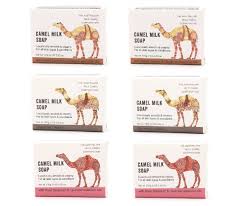 Camel milk is high in antioxidants, which help prevent damage to your cells that can lead to serious diseases such as camel milk is very expensive. Awc Australian Camel Milk Soap Six Pieces Hktvmall Online Shopping