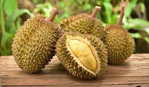 The King Of Fruits Durian Indoindians Com