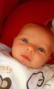 I would never, never, never intentionally hurt him'