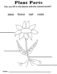 Http Www Thirteen Org Edonline Nttidb Lessons Nh Plantnhwf1 Gif Parts Of A Flower Parts Of A Plant Plants Worksheets