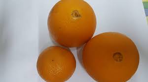 Posting terkait untuk gambar buah buahan segar wallpaper. Tips Memilih Buah Oren Yang Manis