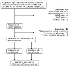 Well, as i read, the malignant breast lumps are usually hard, but that can not be established as a rule. Cancers Free Full Text Consistency Of Pituitary Adenoma Prediction By Pharmacokinetic Dynamic Contrast Enhanced Mri And Comparison With Histologic Collagen Content Html