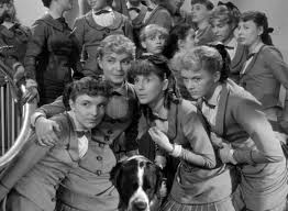 Image result for Olivia 1969 DAF