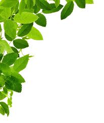 Leaves Left Corner Leaves Cool Wallpapers For Phones Png Images