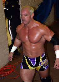 Hacer los posters de wwe mitb 2020 ig alex riley wins the nxt rookie challenge: St Valentine S Day Massacre In Your House Wikipedia