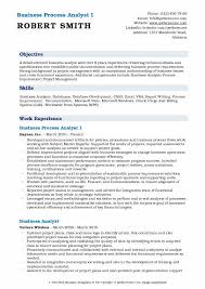 business process analyst resume samples