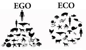 ãé£ç©é£éãï¼¥ï¼§ï¼¯ãã®ç»åæ¤ç´¢çµæ