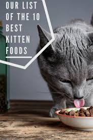 Pin By Irene Blake On Pet Food Recipes Kitten Food Best