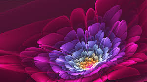 Image result for digital art desktop wallpaper