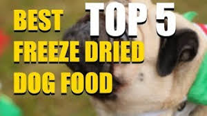 Marty is a brand of pet food and nutritional supplements formulated by renowned vet, dr. 5 Best Freeze Dried Dog Food In 2020 That You Should Buy Today Youtube