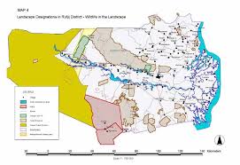 Image result for Polysphaeria dischistocalyx