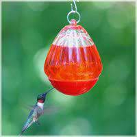 To attract hummingbirds to your garden, you might want to consider making a homemade hummingbird feeder to view and enjoy every spring i look forward to the return of hummingbirds in my yard. These Could Be Replacement For Opus Mobile Feeder Humming Bird Feeders Glass Hummingbird Feeders Bird Feeders