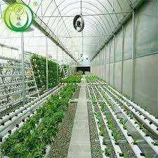 Jp Factory Price Nft Indoor Hydroponic System With Aquaponic Greenhouse Buy Hydroponic Systems For Sale Greenhouse Aquaponic System Product On Alibaba Com