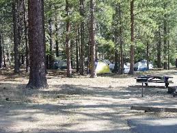 241 likes · 6 talking about this · 1,189 were here. Campground Directory And National Forest Campgrounds